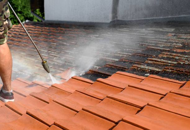 Best Exterior Home Cleaning  in Campbell, FL