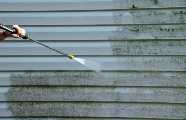Best Affordable Pressure Washing  in Campbell, FL