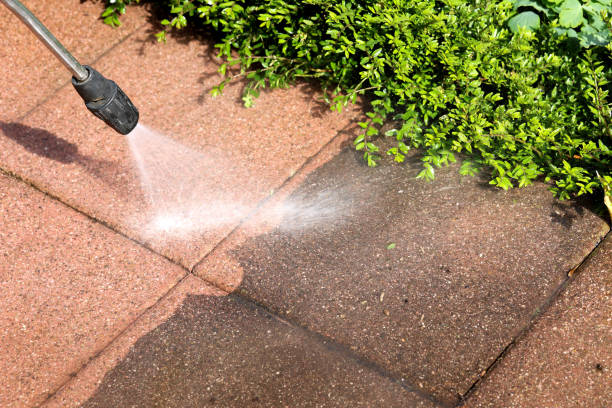 Best Power Washing Near Me  in Campbell, FL